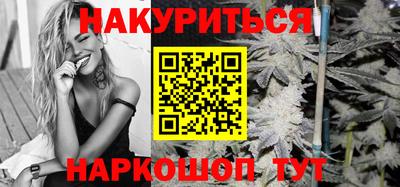 Альфа ПВП Нальчик