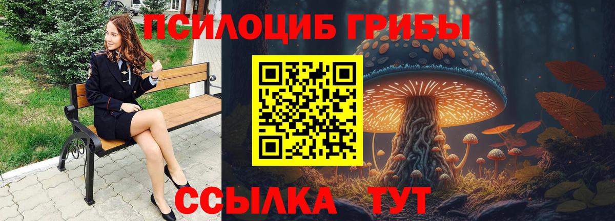 Псилоцибиновые грибы Magic Shrooms Пушкино