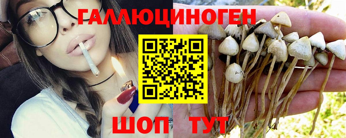 Галлюциногенные грибы Cubensis  Вход с VPN  Пушкино  Галлюциногенные грибы ЛСД 